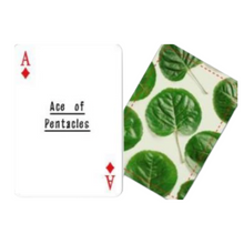 Load image into Gallery viewer, The Tiny Tarot Deck
